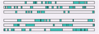 Figure 4.1. Open reading frames of ≥100 bp encoded on a 10-kb fragment of the Escherichia coli K12 genome from 3435250 to 3445250.