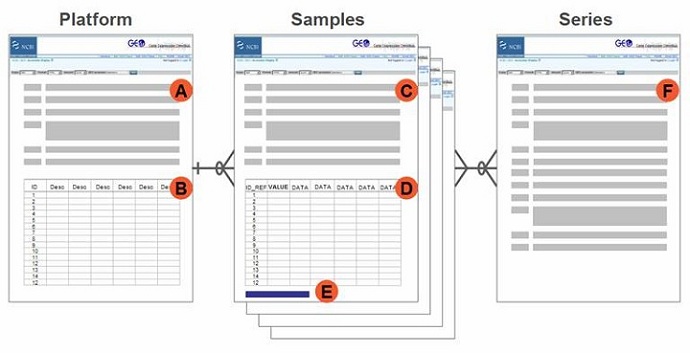 Schematic overview of GEO data submission.