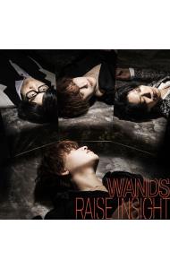 【ＣＤ＋Ｂｌｕ－ｒａｙ】ＲＡＩＳＥ　ＩＮＳＩＧＨＴ