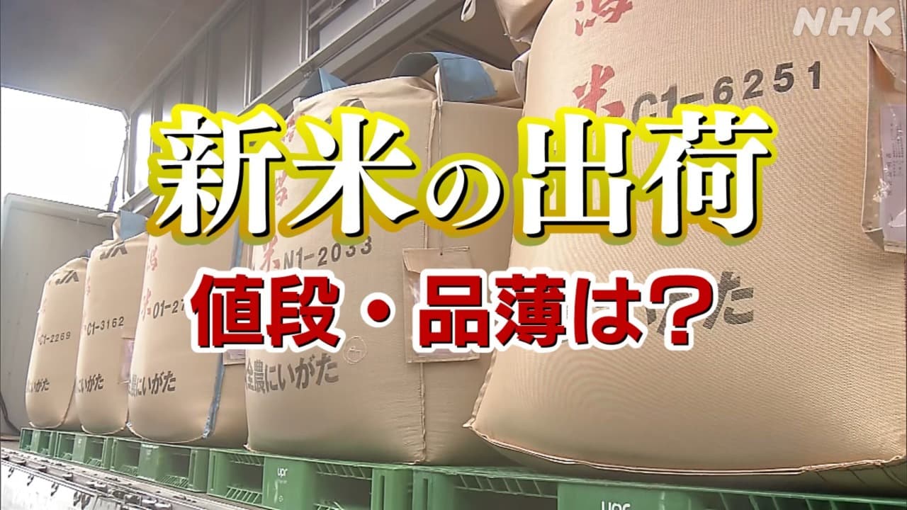 コメいつまで品薄 生産者や通販は？新潟県産コシヒカリが県外出荷本格化 新米や価格は？