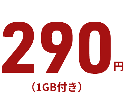 月額基本料290円 1GB