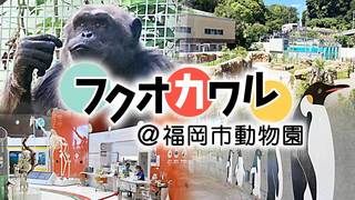 フクオカワル＠福岡市動物園