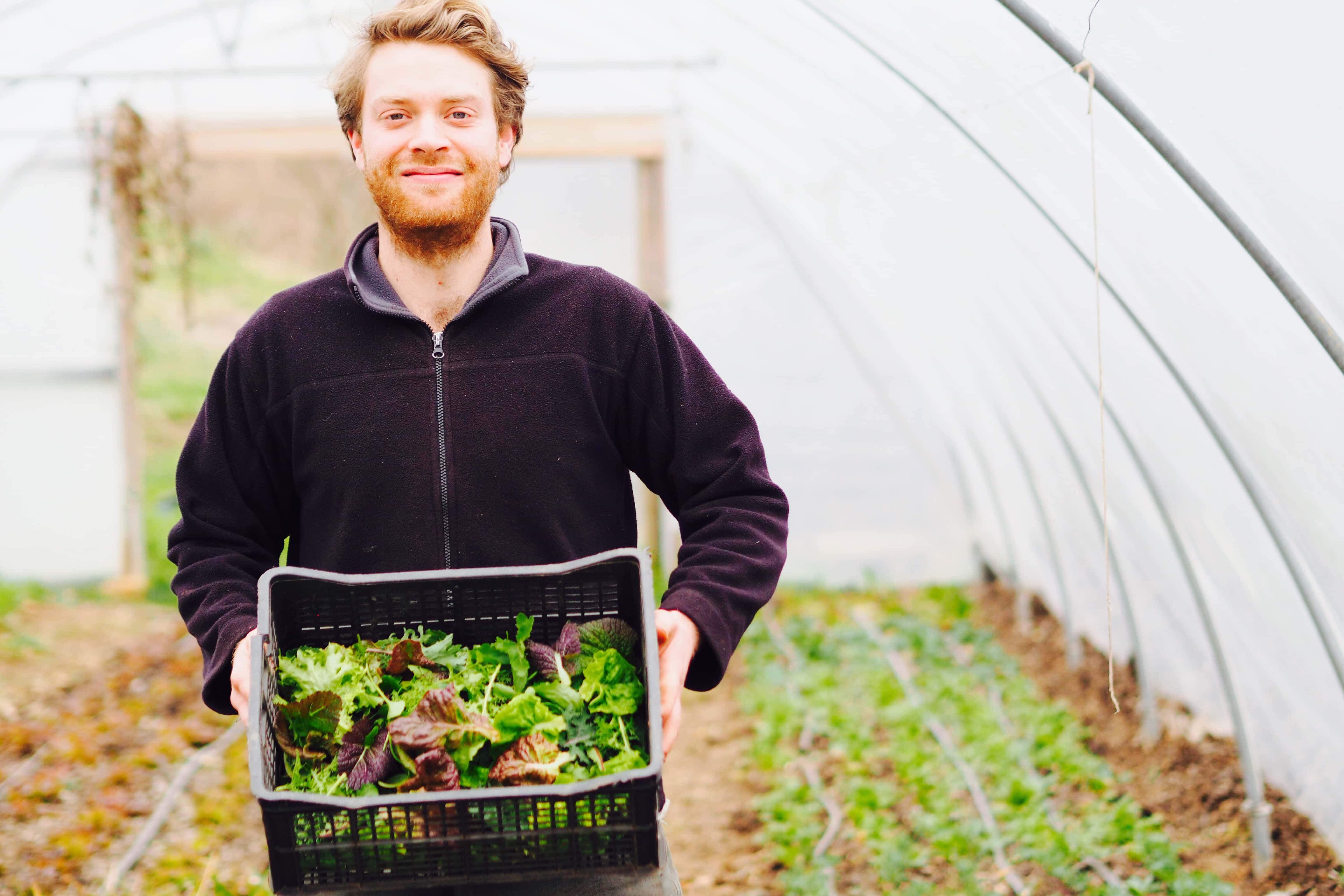 growing vegetables