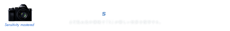 7S GALLERY