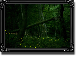 FIREFLY `Ȍɖā`