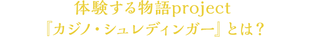 体験する物語project『カジノ・シュレディンガー』とは？