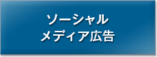 ソーシャルメディア広告