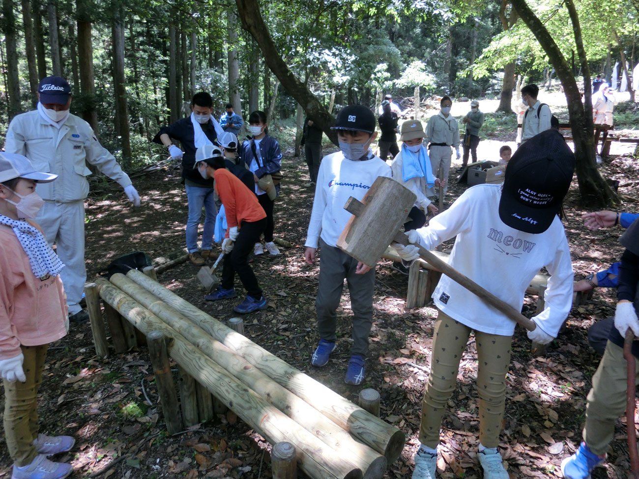 除伐や間伐植林