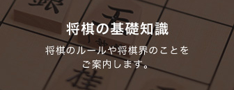 将棋の基礎知識 将棋のルールや将棋界のことをご案内します。