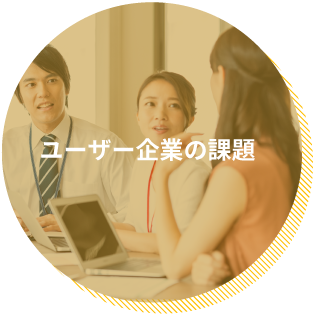 ユーザー企業の課題