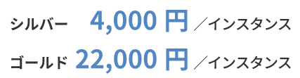 シルバー 4,000円/インスタンス　ゴールド 22,000円/インスタンス