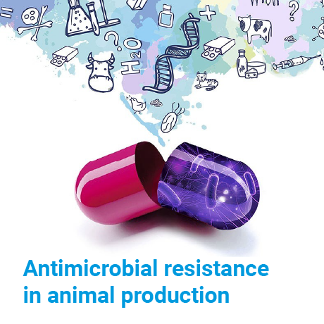 Resistencia Antimicrobiana en Producción Animal