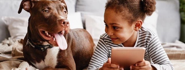 Dog and child relaxing