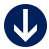 Arrow Down Icon