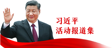 习近平报道集