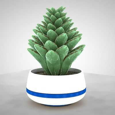 Plant 3D Model