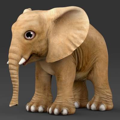 Baby Elephant 3D Model