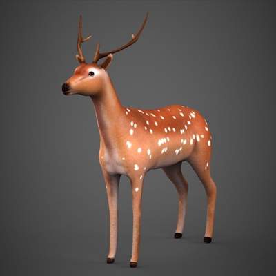 Deer 3D Model