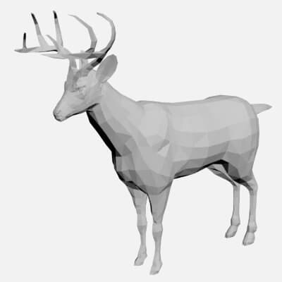 Deer 3D Model