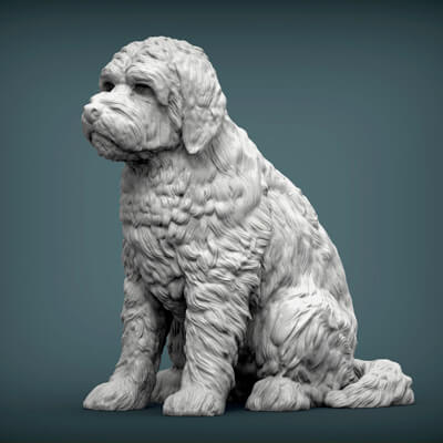 Golden Doodle 3D Model