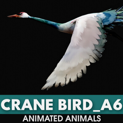 Crane Bird A6 3D Model