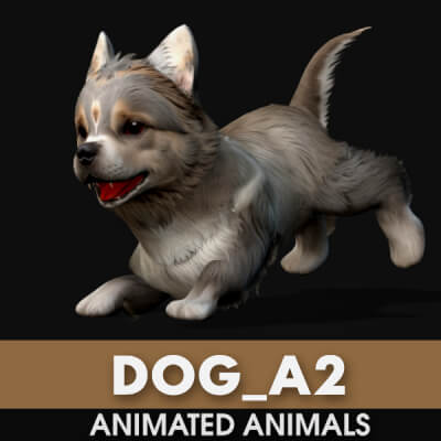 Dog A2 Animated