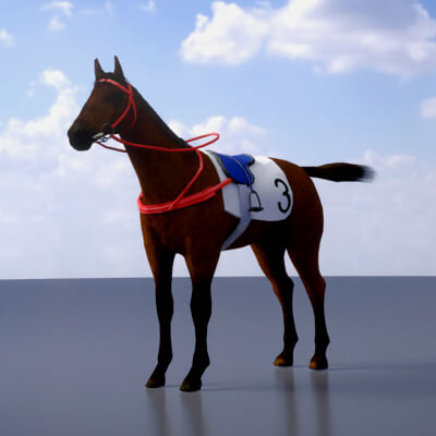 Racing Horse