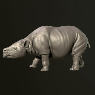 Toxodon extinct mammal