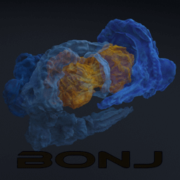 bonj