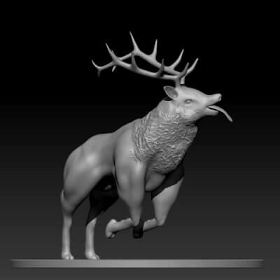 Elk 3D Model