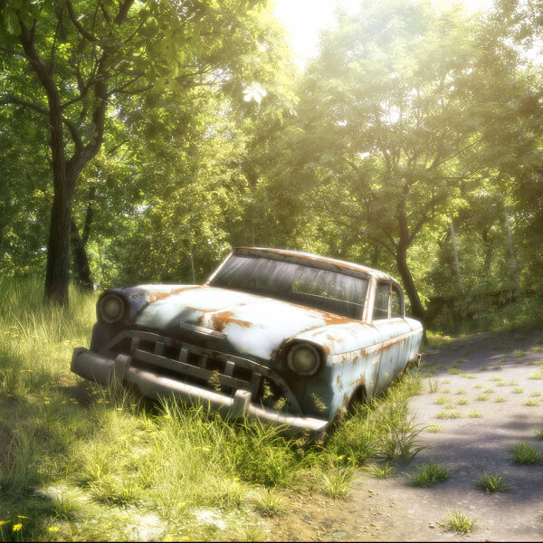 The Abandoned Old Car