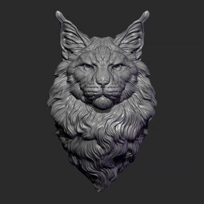 Maine Coon Head 3D Model