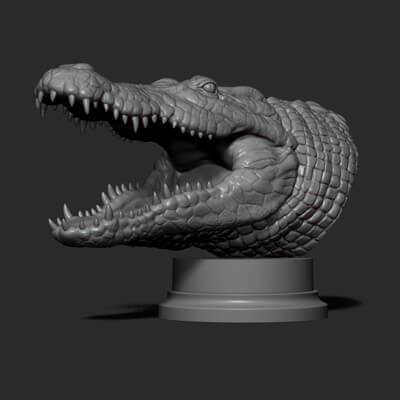 Crocodile Head 3D Model