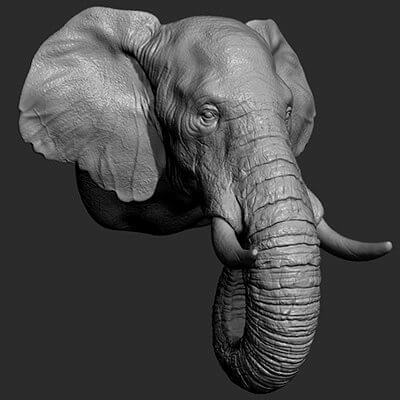 Elephant Head 3D Model