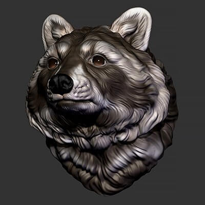 Raccoon Head