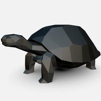 Low Poly Turtle Figure 3D Model