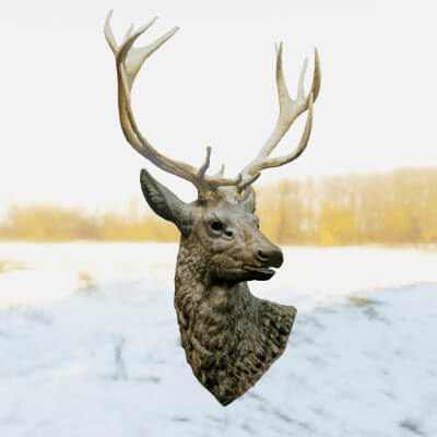 A Deer Head Taxidermy 3D Model