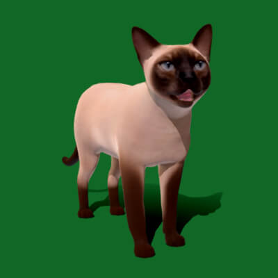 Siamese Cat Breed