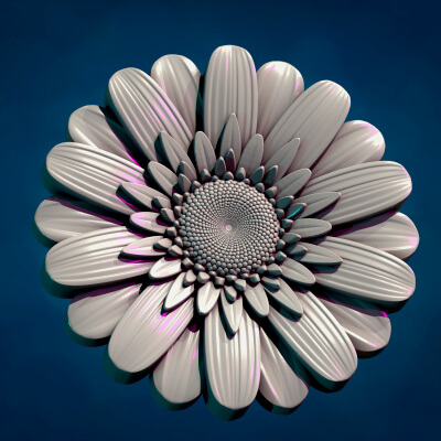 Daisy Gerbera Flower 3D Model