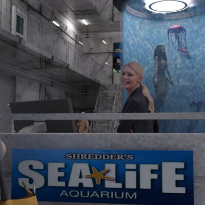 Sealife Aquarium