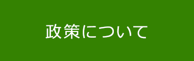 政策について