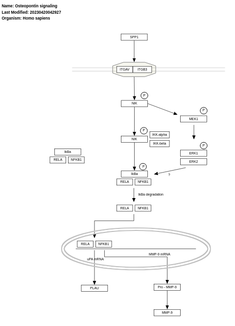 Osteopontin signaling