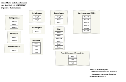 Matrix metalloproteinases