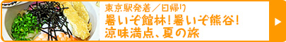  東京駅発着／日帰り｜暑いぞ館林！暑いぞ熊谷！涼味満点、夏の旅