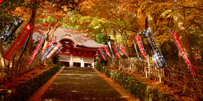 TEMPLE 鰐淵寺（がくえんじ）