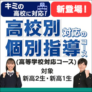 高校別対応の個別指導コース