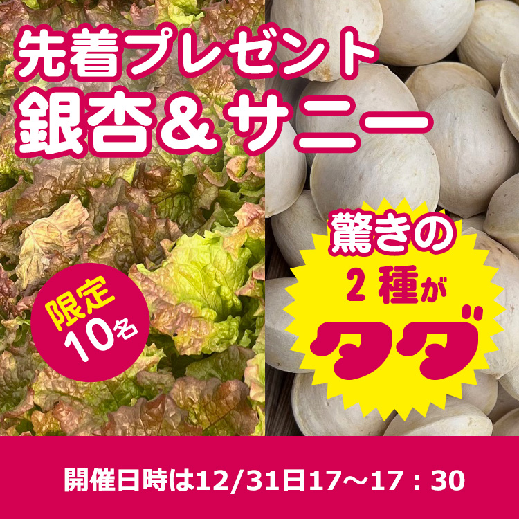 【サニー＆銀杏】大晦日は先着プレゼント！