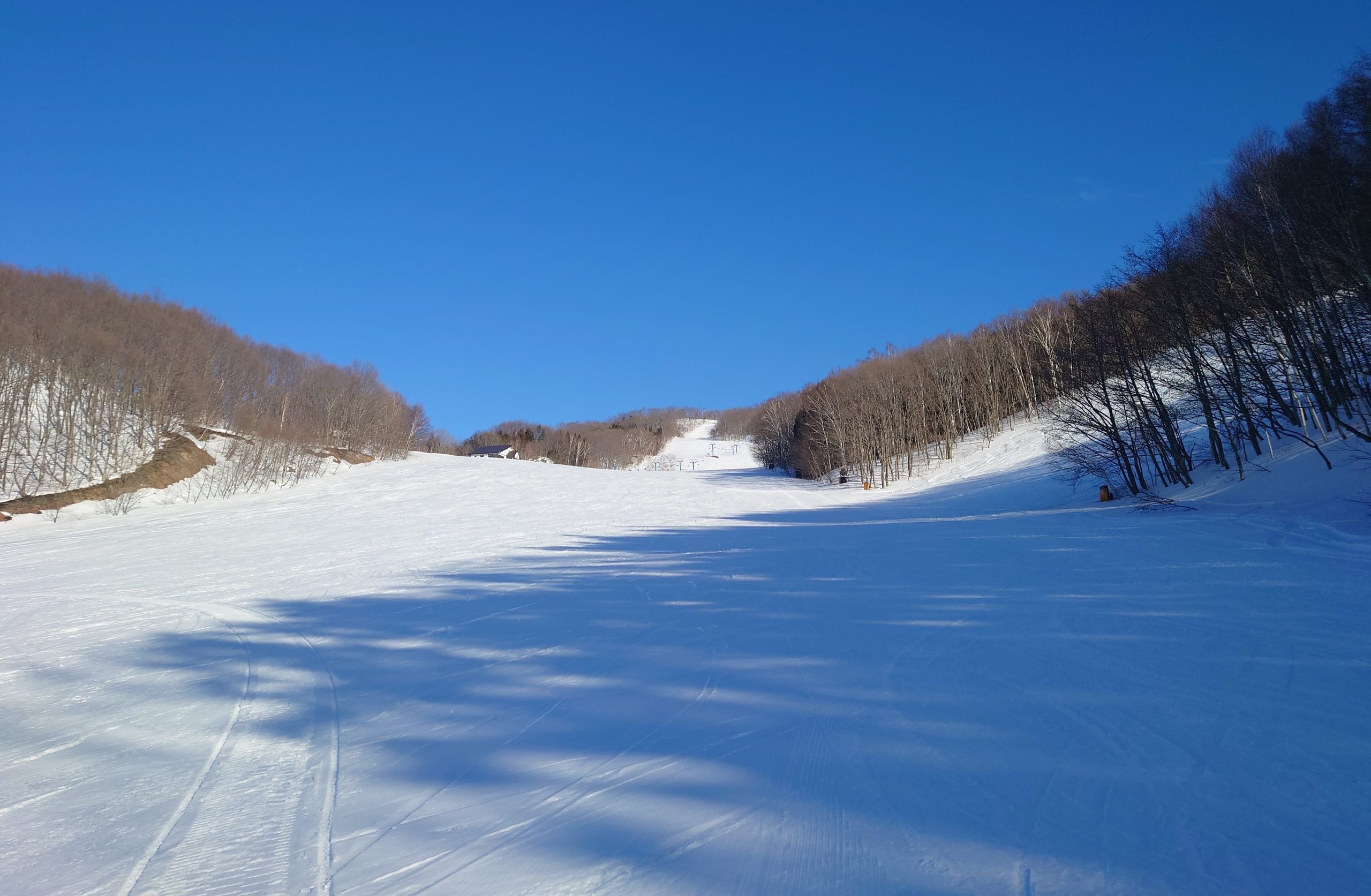 理想の雪が待っている！北日光・高畑スキー場