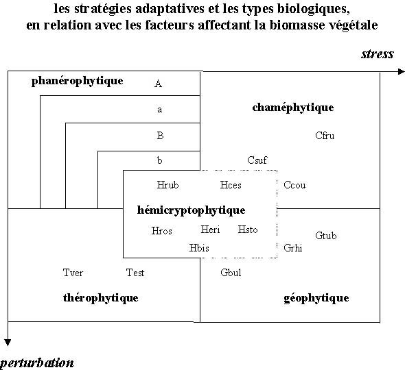 types biologiques