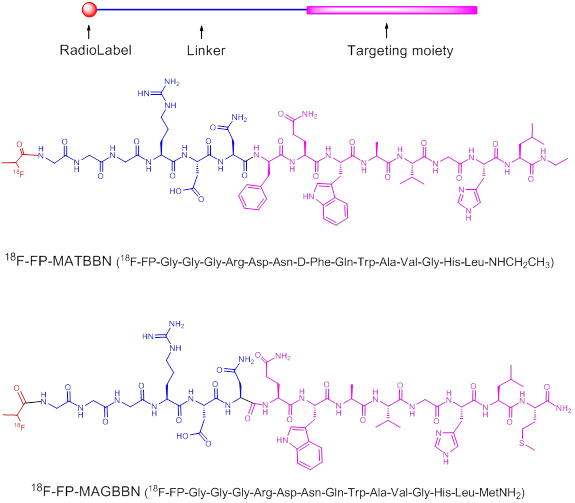 Theranostics Image